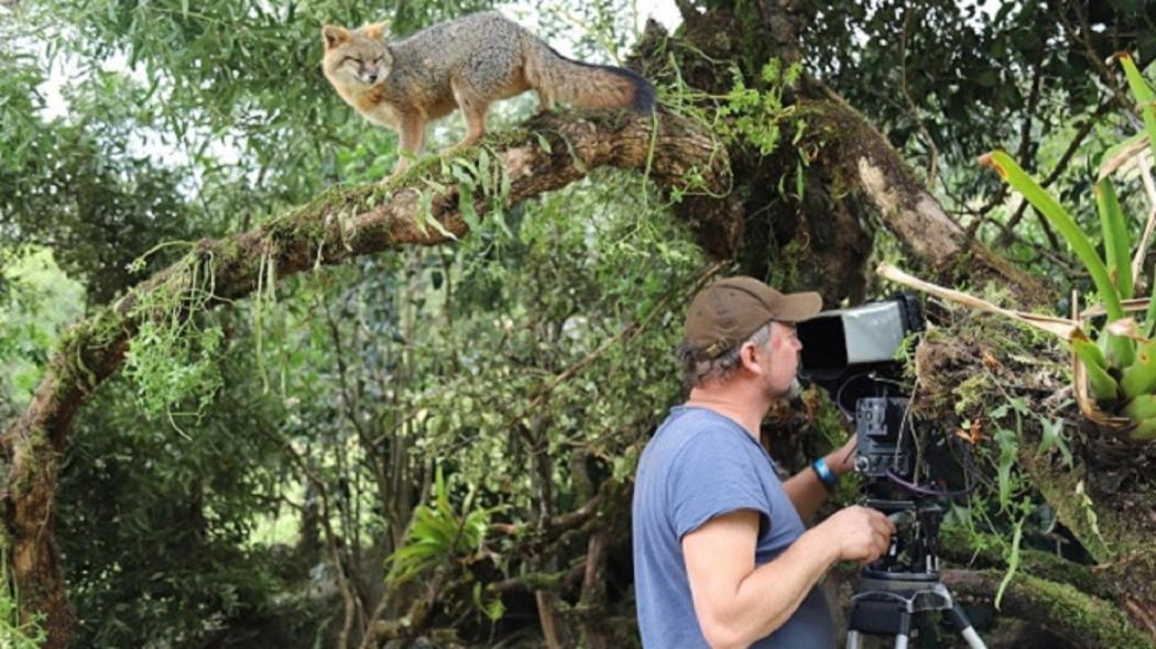 Foto: Secretaría de Cultura