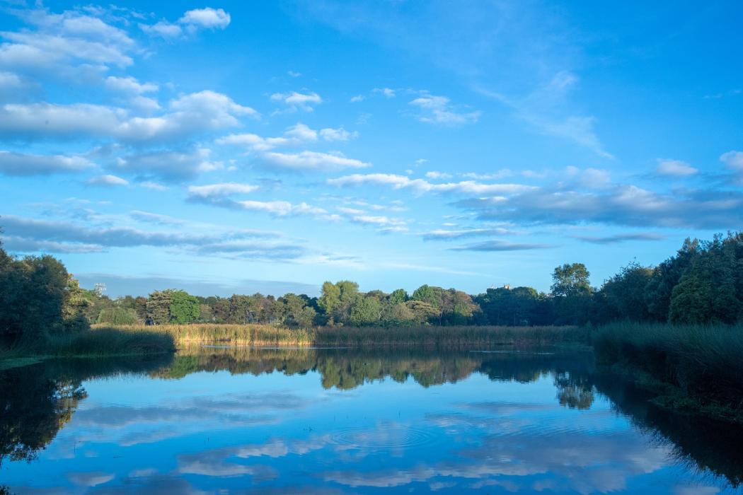 El recorrido inicia en el humedal Santa María del Lago donde podrán disfrutar del maravilloso paisaje que ofrece este reconocido referente de la capital. FOTO: Alcaldía Mayor de Bogotá