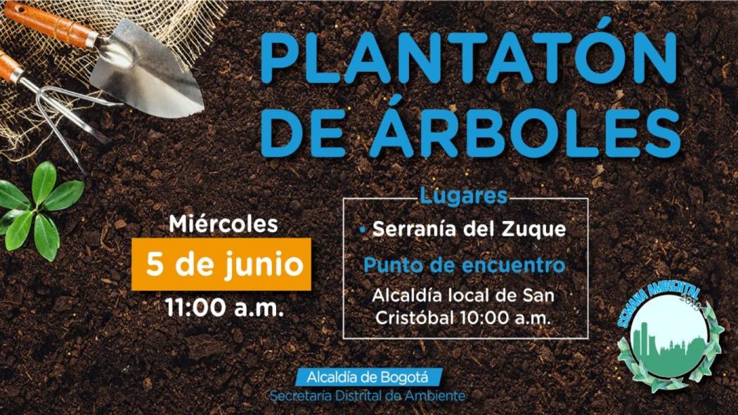 Más de 6.000 árboles plantará la Alcaldía en la Semana Ambiental