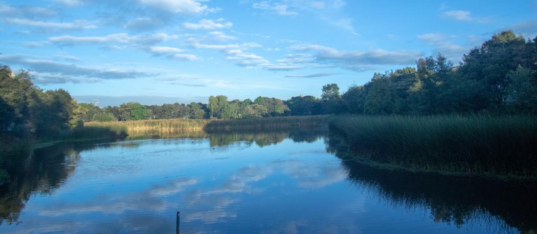 Foto del humedal Santa María del Lago, en Bogotá, desde donde el Alcalde Enrique Peñalosa celebró el Día Mundial de los Humedales este año. 