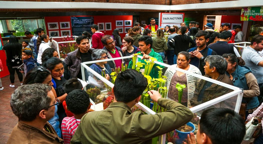 Exposición de plantas carnívoras en el Jadín Botánico