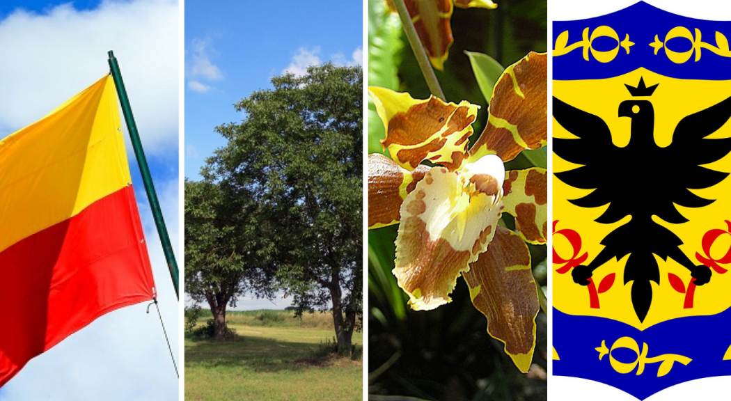 Collage con los cuatro símbolos de Bogotá: bandera, árbol de Nogal, orquídea y escudo.