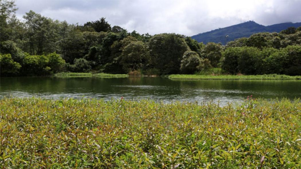 Comisión ambiental de Engativá