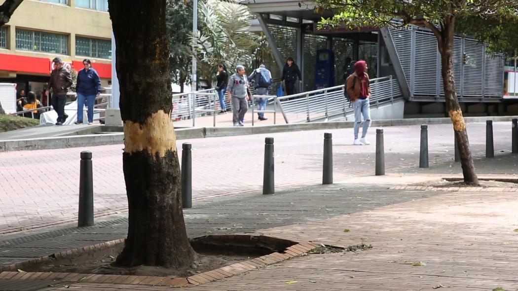 Foto: Secretaría de Ambiente