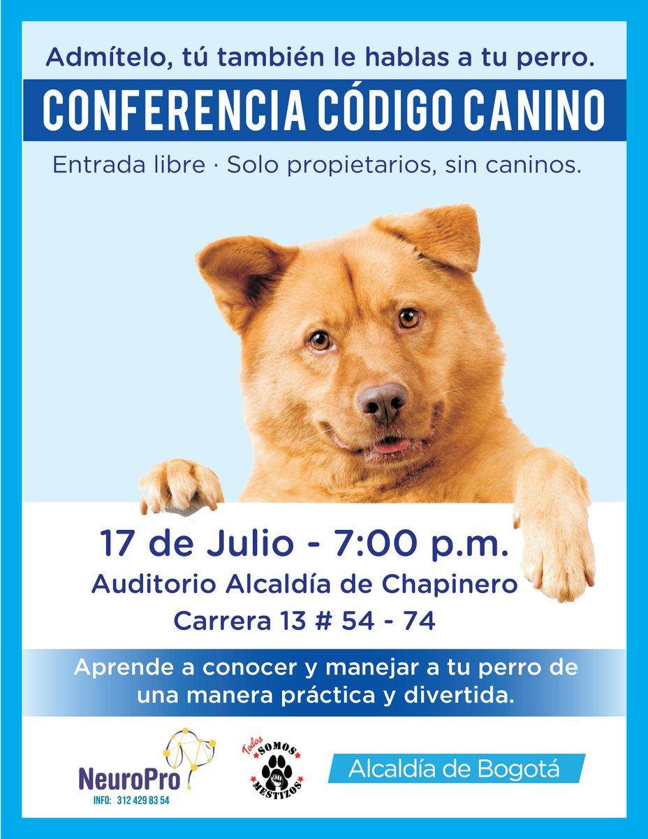 código canino 