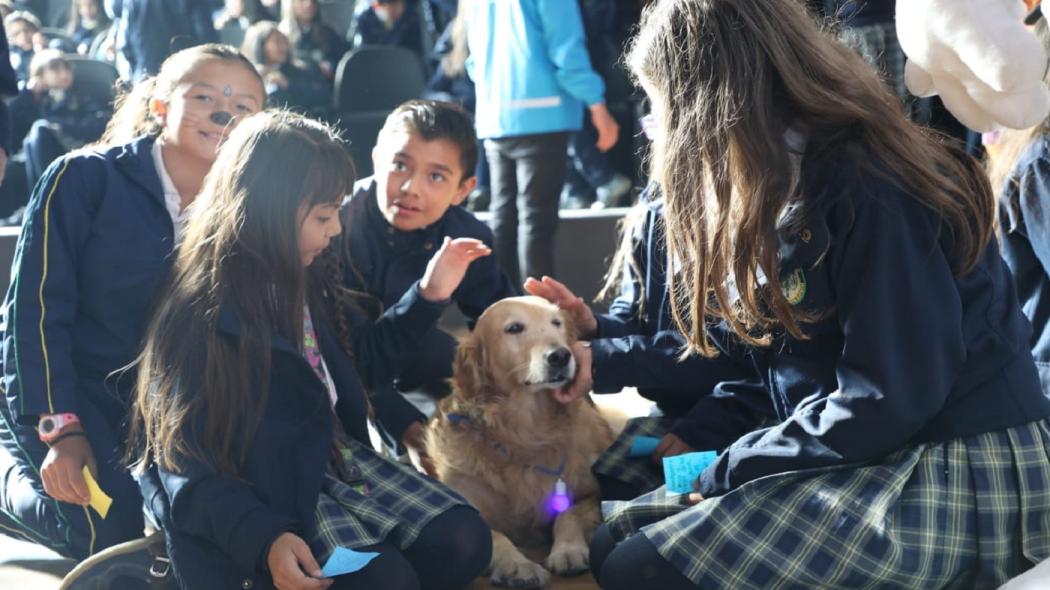 Evento de lanzamiento campaña 'Con los animales no se hacen males'