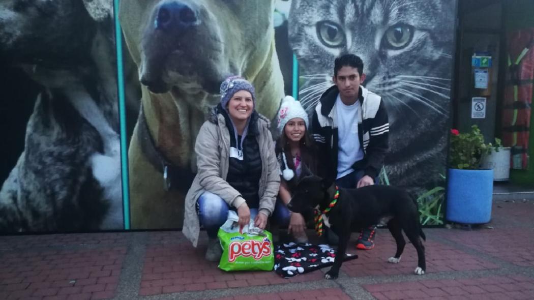 Adoptan a Chimuelo el perro que fue herido por una bala 