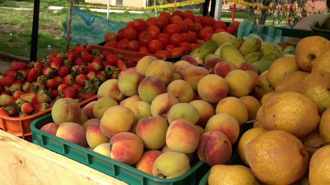 Mercados Campesinos del fin de semana