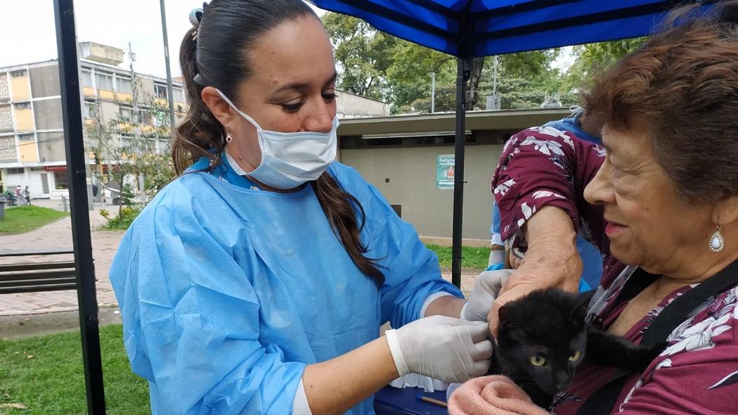 Foto: Secretaría de Salud