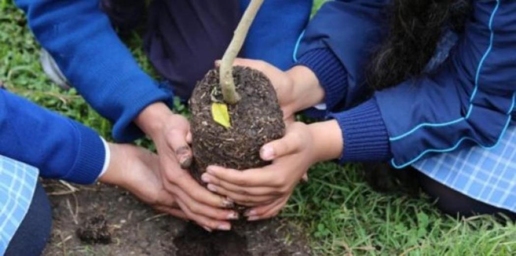  Jornadas de resaturación ecológica en la localidad de Usaquén