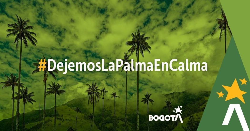 Imagen de Secretaría de Ambiente con la frase: Dejemos la palma en calma.