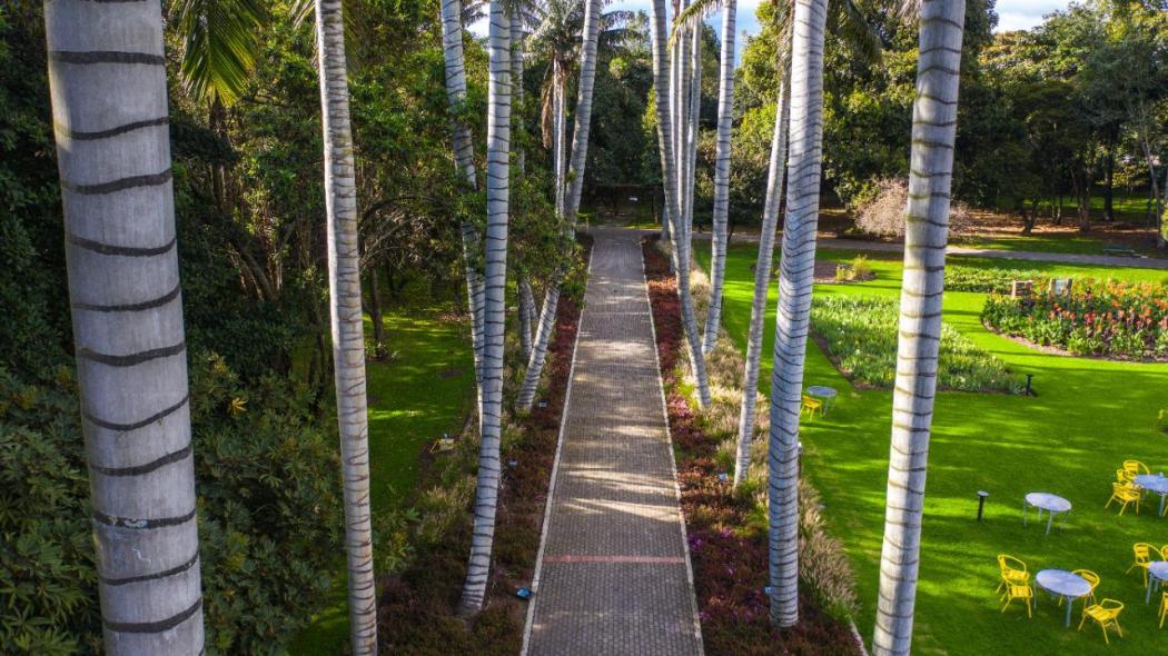 Foto del Jardín Botánico de Bogotá.