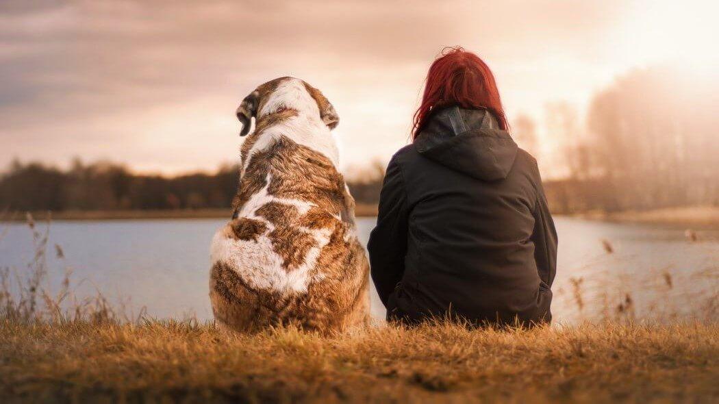 Imagen de una mujer con su perro sentados en el pasto