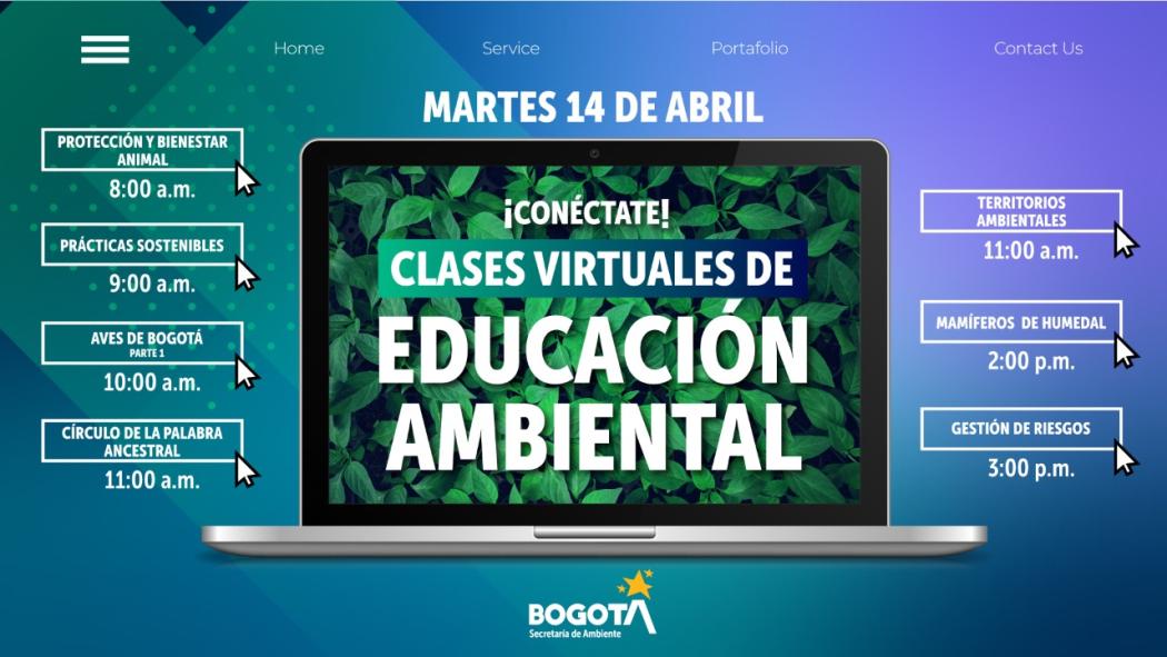 Imagen de la Secretaría de Ambiente. Clases virtuales de educación ambiental.