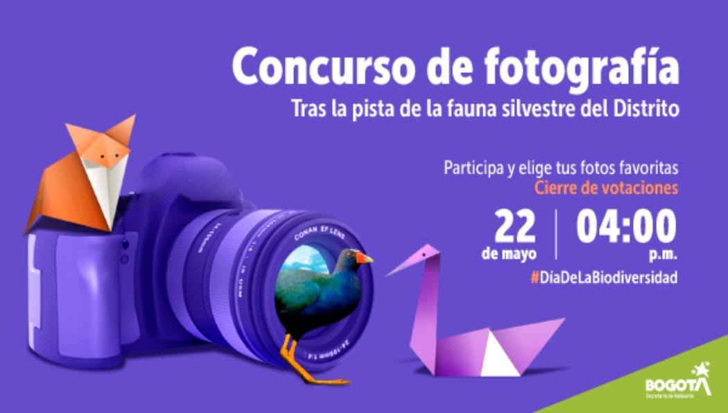 Elige los ganadores del concurso de fotografía de Fauna Silvestre 