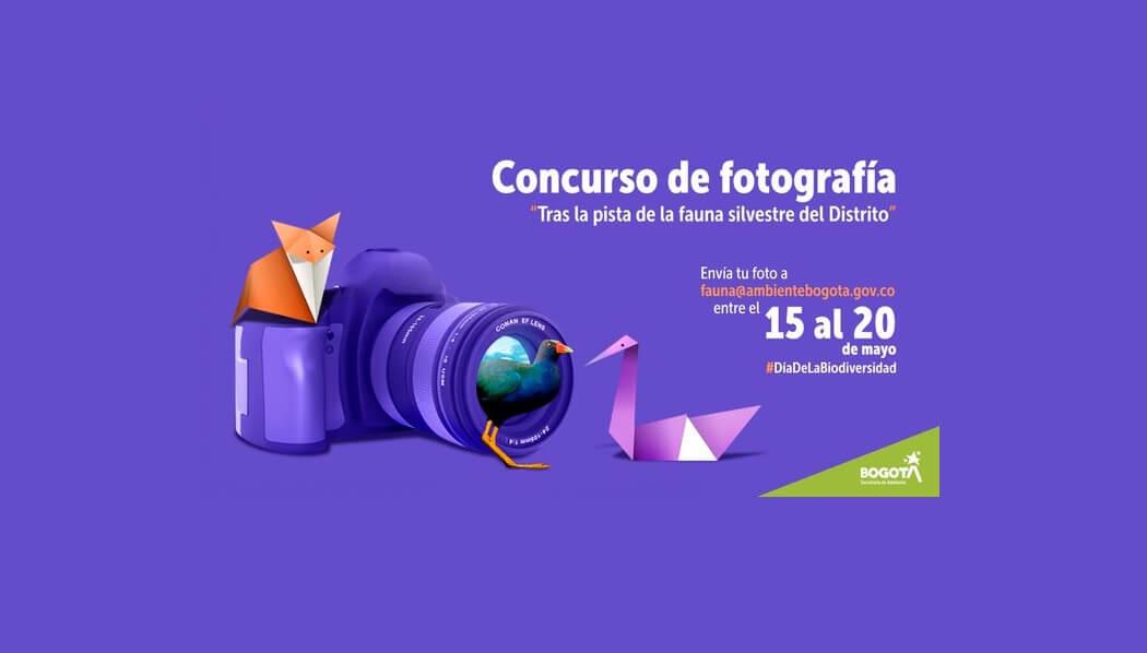 Imagen que invita a participar en el concurso de fotografía.