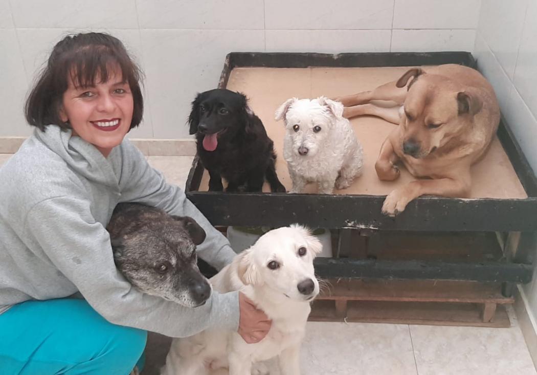 Foto de persona con perros