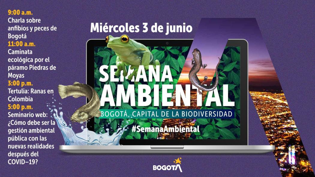 Imagen Secretaría de Ambiente. Actividades Semana Ambiental.