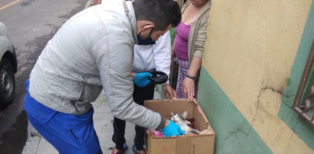 Atención de emergencias IDPYBA