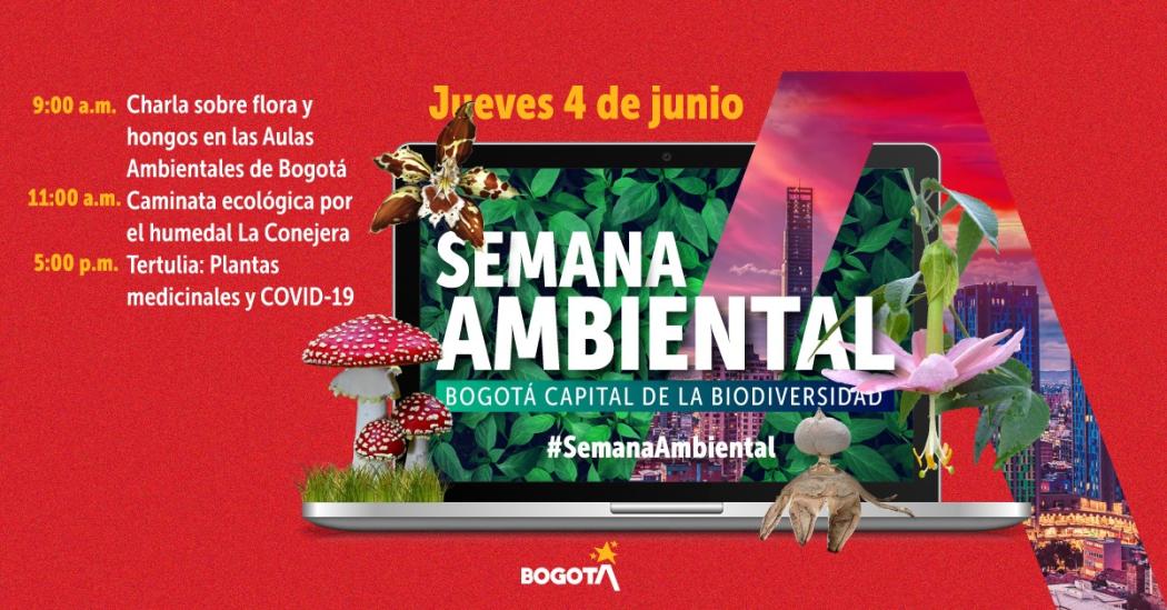 Charlas Virtuales Secretaría de Ambiente