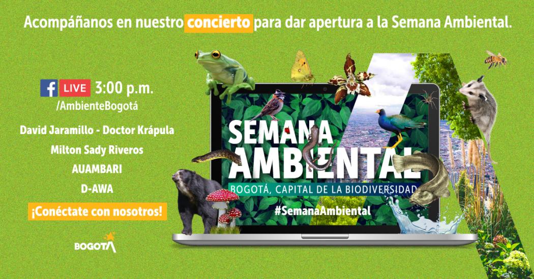 Imagen Secretaría de Ambiente. Concierto Ambiental.