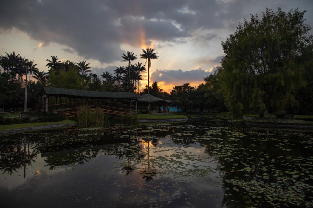 Imagen del Jardín Botánico de Bogotá 