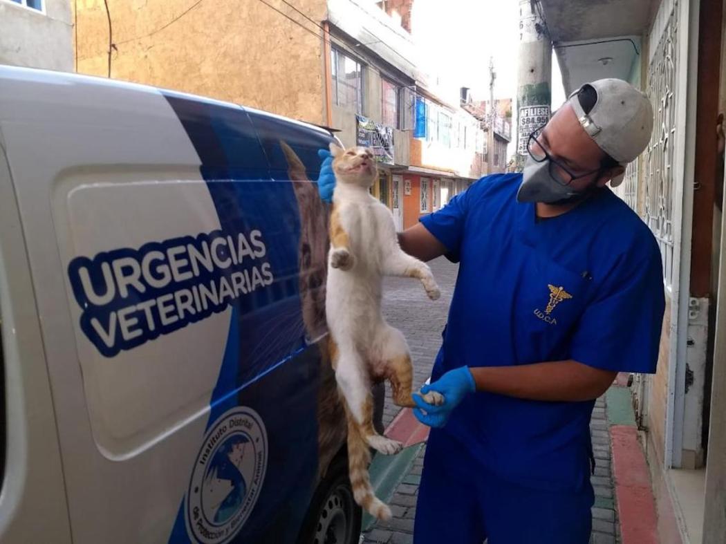 Urgencias veterinarias IDPYBA