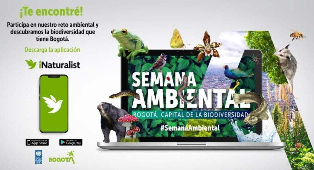 Imagen. Secretaría de Ambiente.