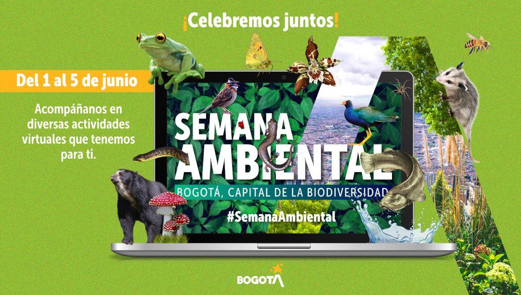 Vive unos días llenos de diversión en la Semana Ambiental 