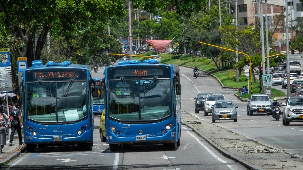 Fotografía de buses y carros.