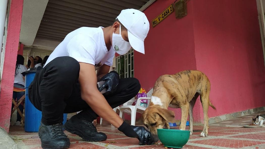 Los tres perritos presentaban claras muestras de maltrato