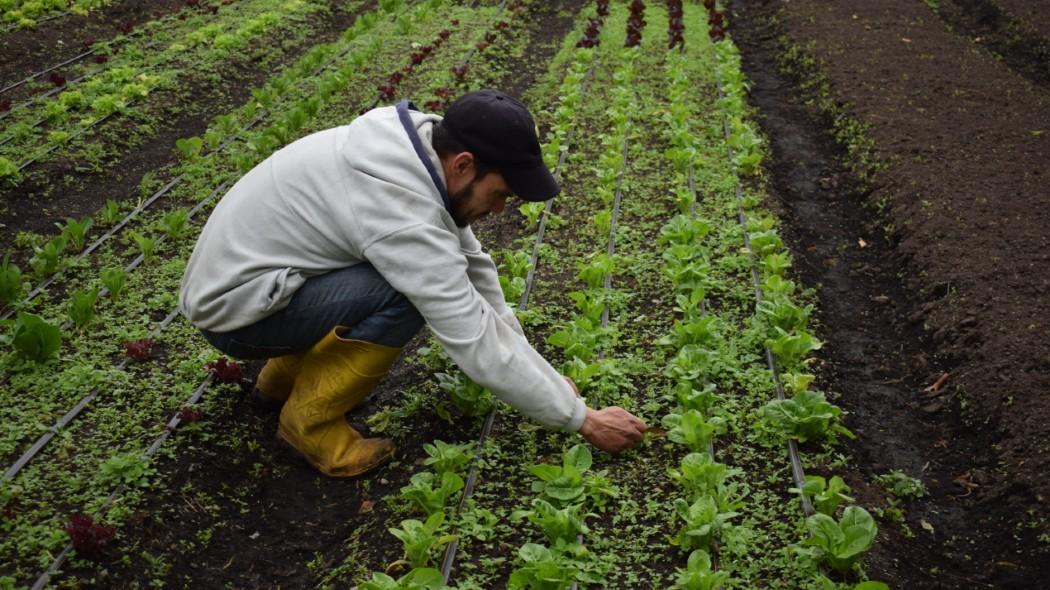 Llegó la hora de visibilizar la labor de los campesinos