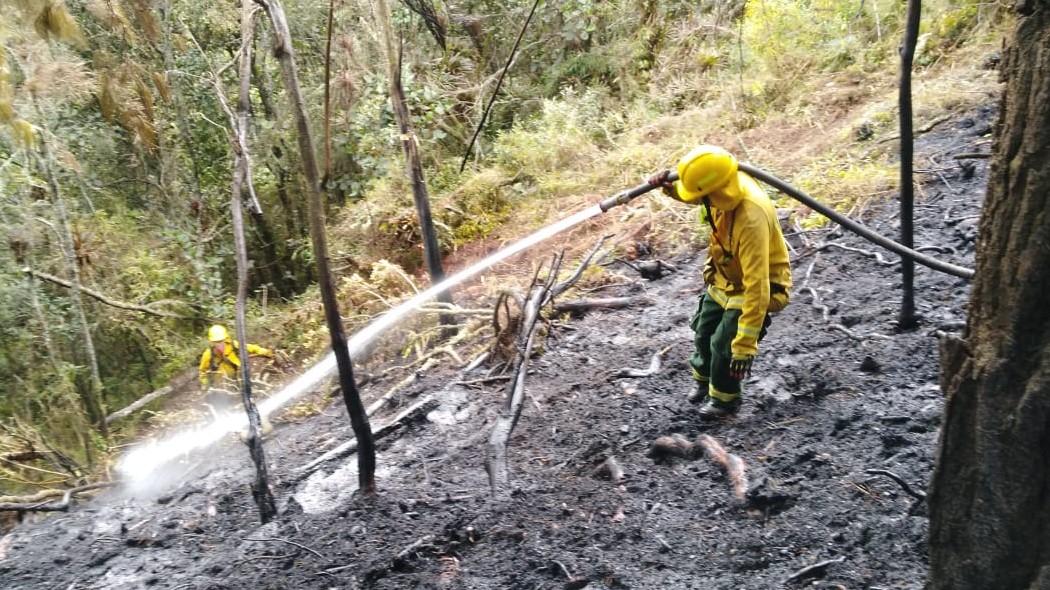 Bombero extinguiendo las llamas.