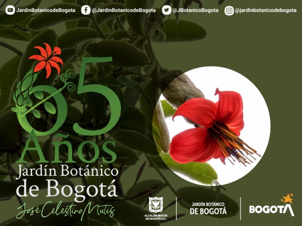 Pieza gráfica cumpleaños 65 del Jardín Botánico