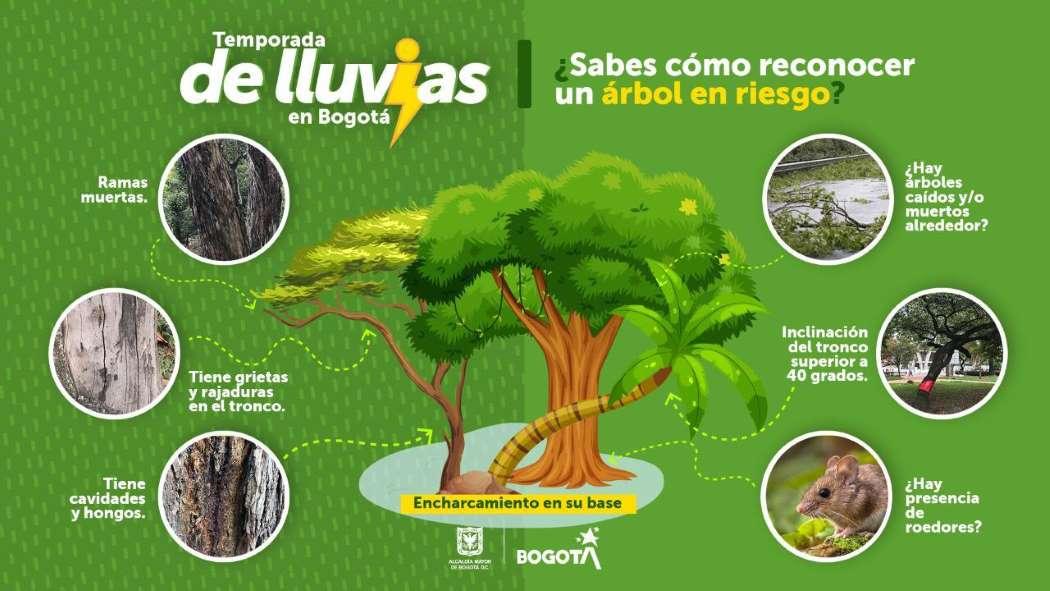 Ilustración de Secretaría de Ambiente.