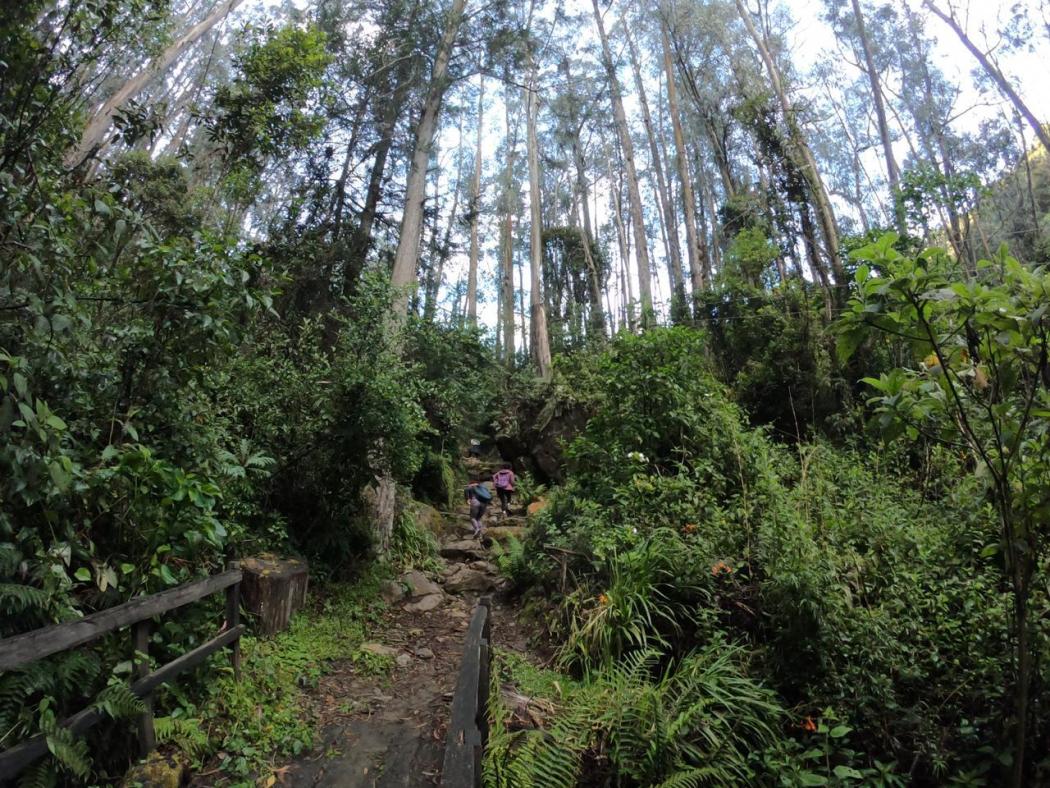 Así disfrutaron los bogotanos la reapertura de los senderos ecológicos - FOTO: Prensa Acueducto de Bogotá