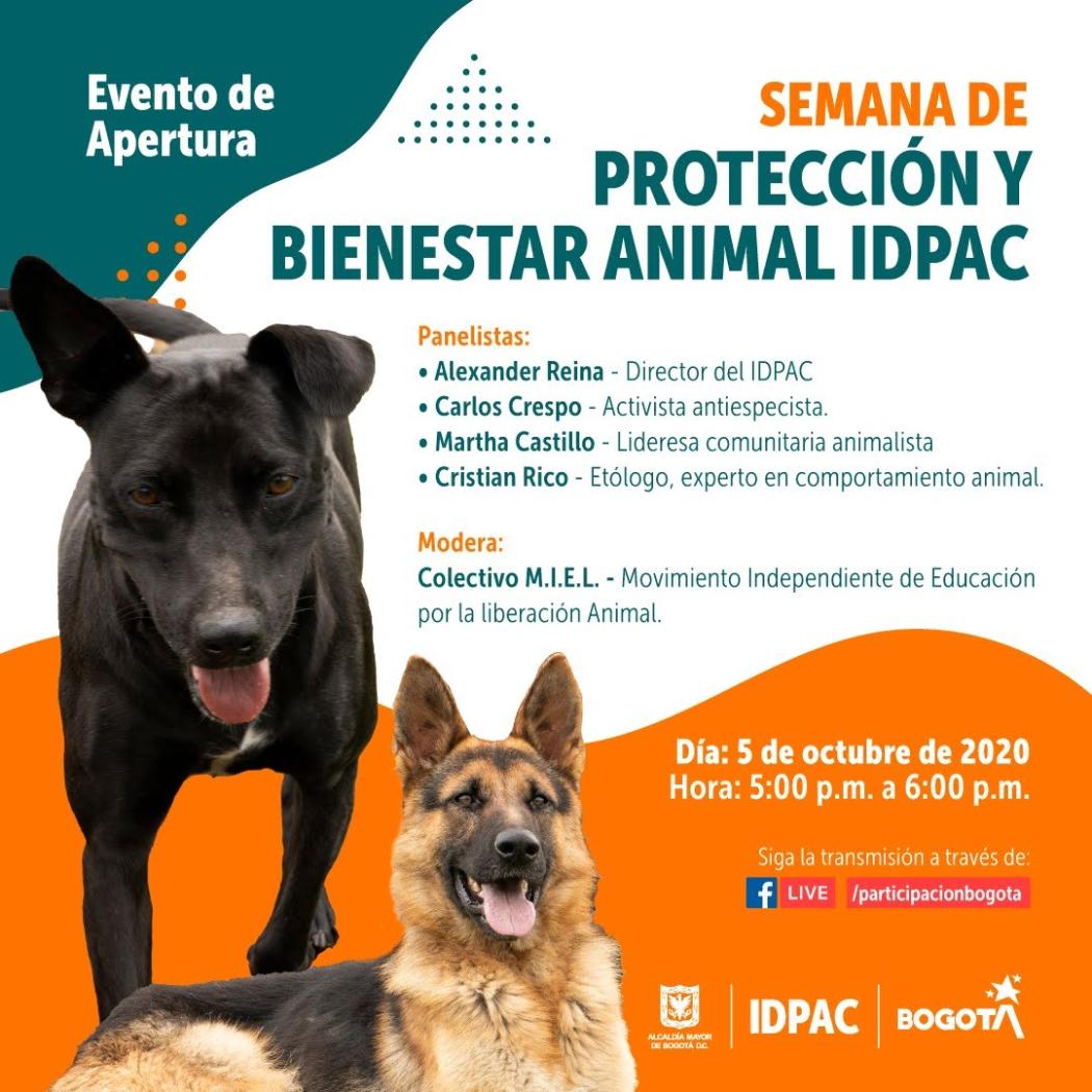 Semana de Protección y Bienestar Animal