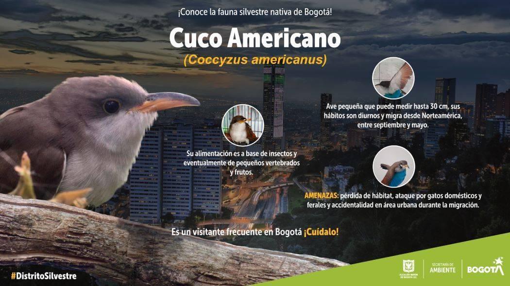 Imagen de Secretaría de Ambiente.