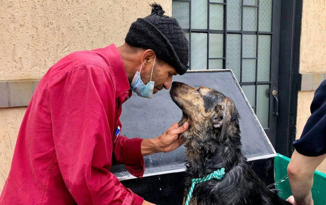 Imagen de José Francisco con uno de sus animales