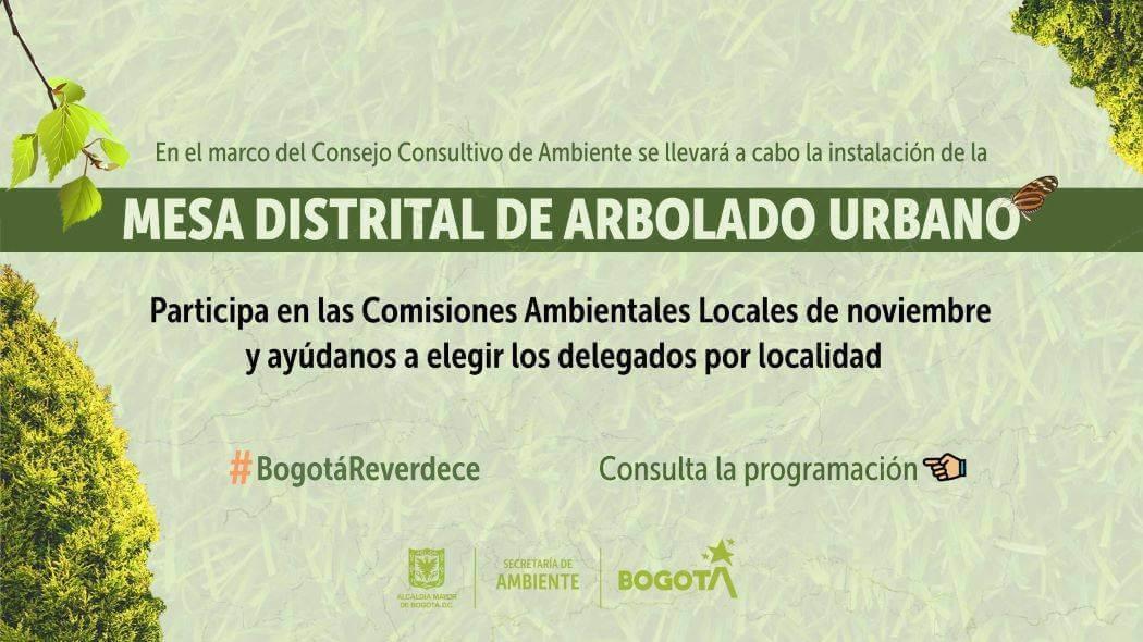 Imagen de Secretaría de Ambiente.