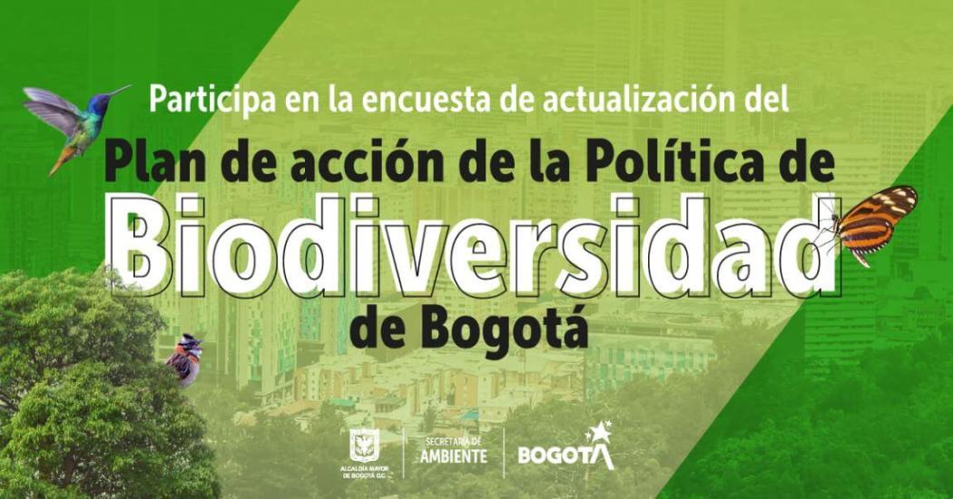 Imagen de Secretaría de Ambiente.