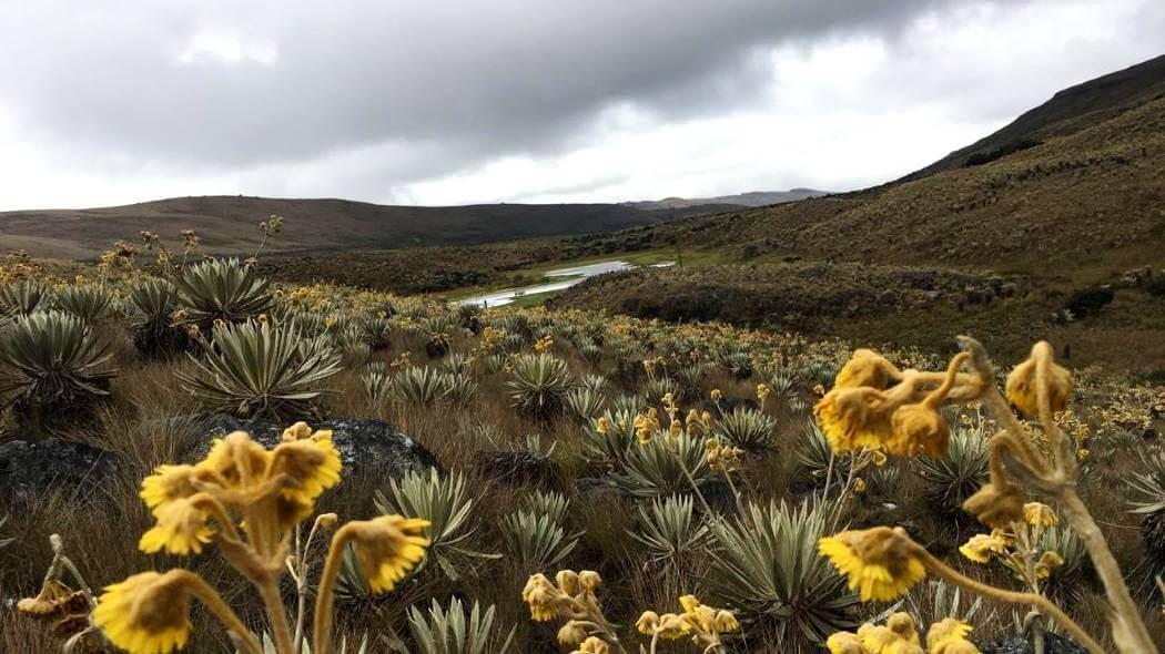 Páramo de Sumapaz