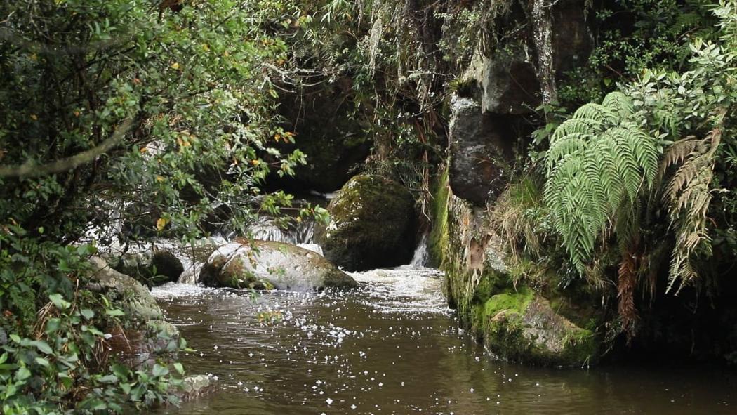 Operadores turísticos certificados en procesos de formación ambiental 