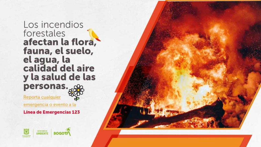 Prevenir incendios forestales es una tarea de corresponsabilidad