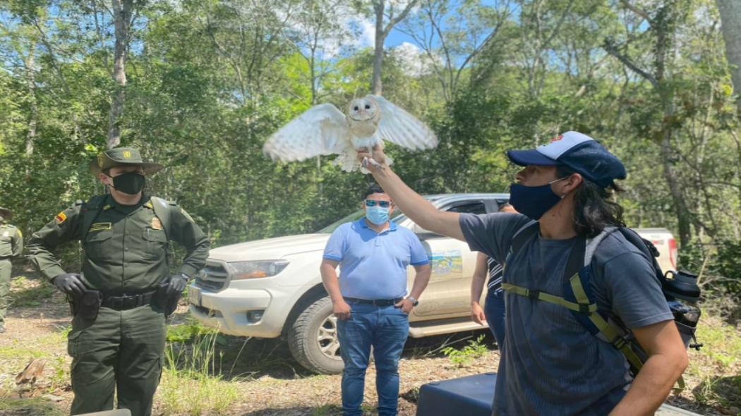 Liberan especies de fauna en Cundinamarca