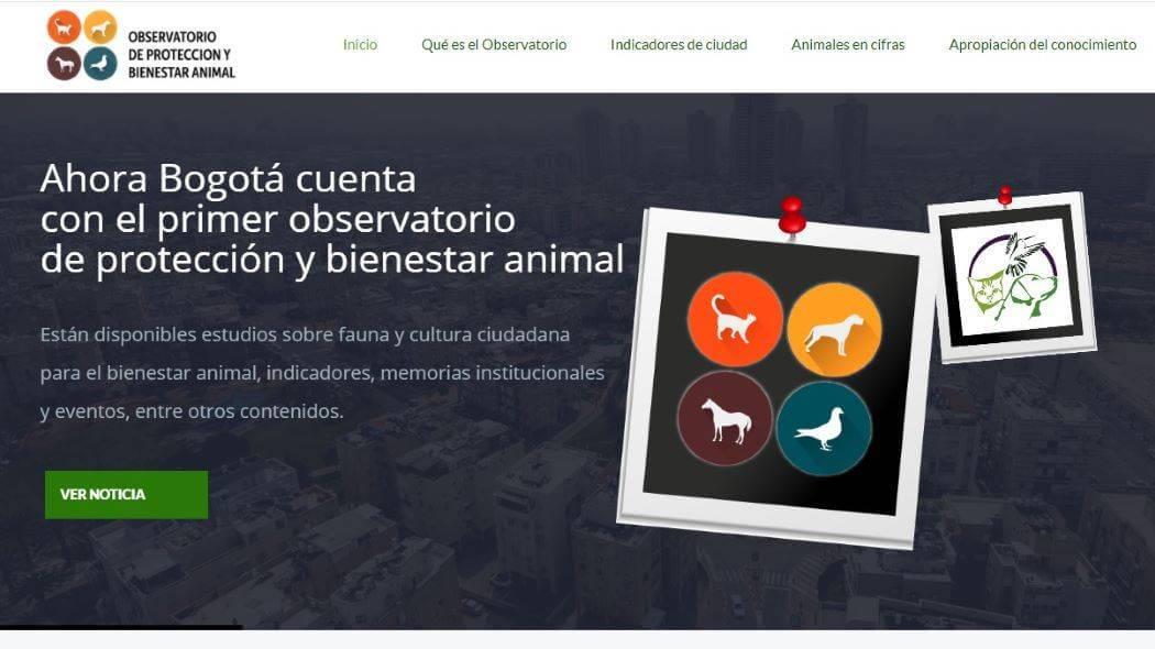 Pantallazo de la página web del observatorio.