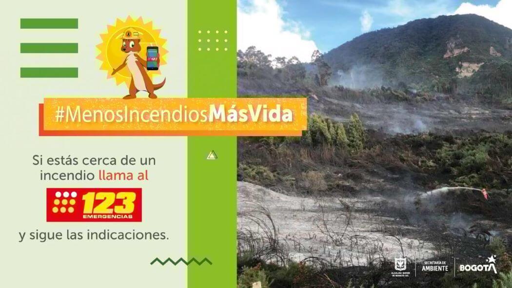 Imagen de Secretaría de Ambiente.