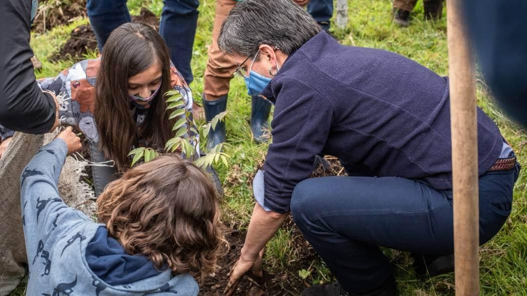 imagen de plantación de árboles en Bogotá.