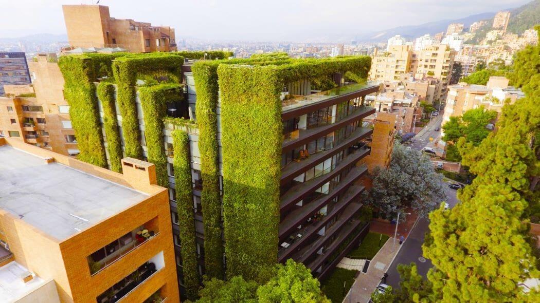 Imagen de un jardín vertical en Bogotá.