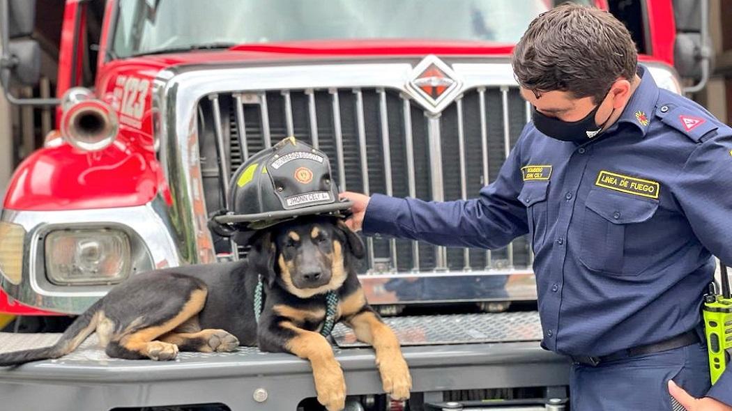 Marshall ya se ha hecho amigo de los bomberos de todos los bomberos de la estación caobos